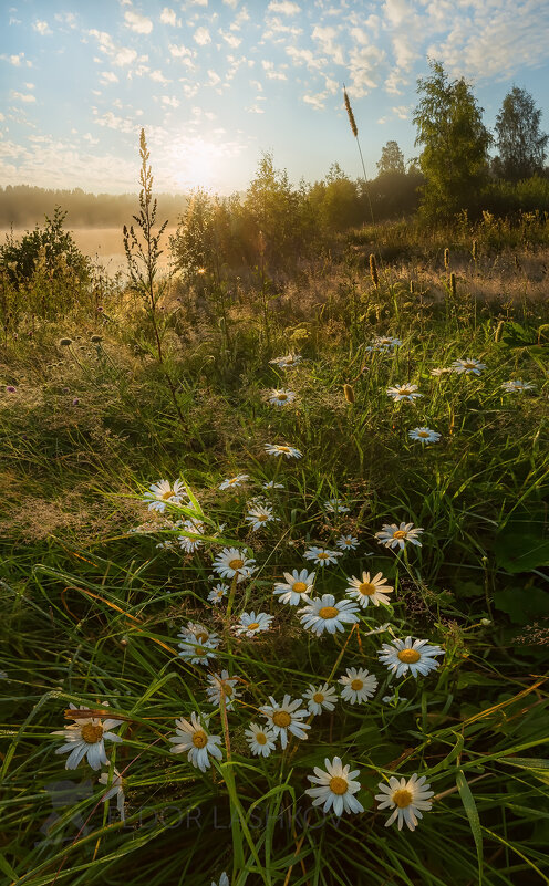 Детство - Фёдор. Лашков