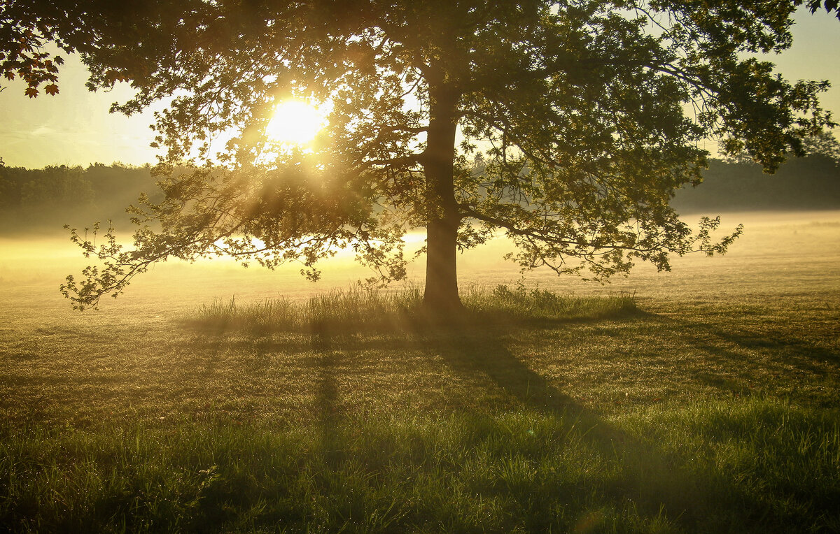 *** - Андроник Александр 