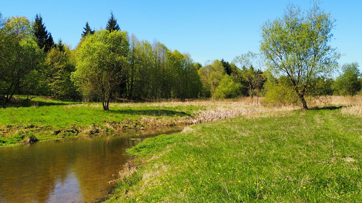 Моя Смоленщина - Милешкин Владимир Алексеевич 