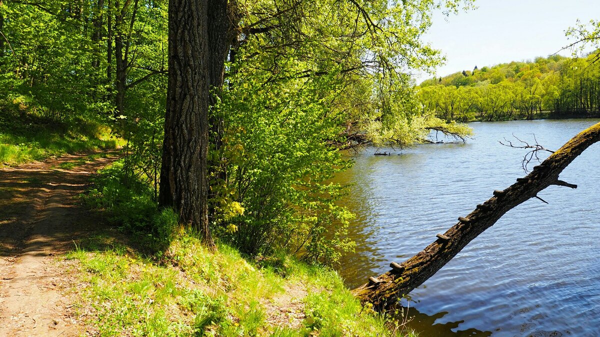 Весна в деревне - Милешкин Владимир Алексеевич 