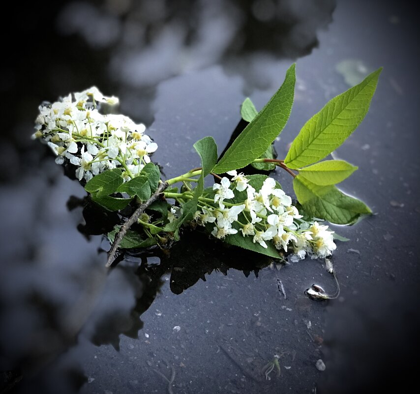 *** - Любовь *** - Любовь