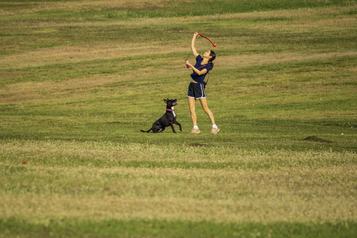 Игры. - Alexander Amromin Игры. - Alexander Amromin