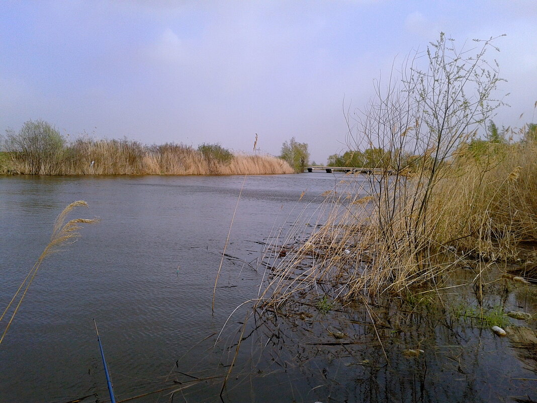 Апрель. - сергей ермошкин Апрель. - сергей ермошкин