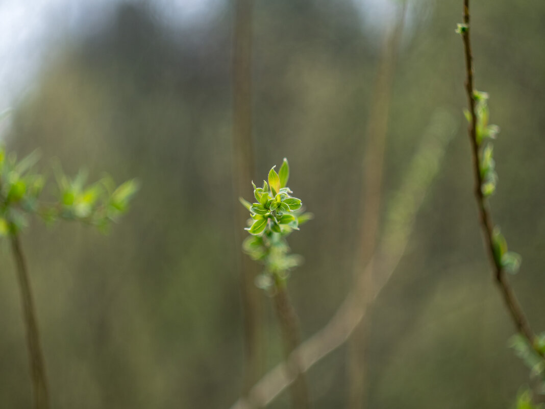 ___ - Yuriy V ___ - Yuriy V