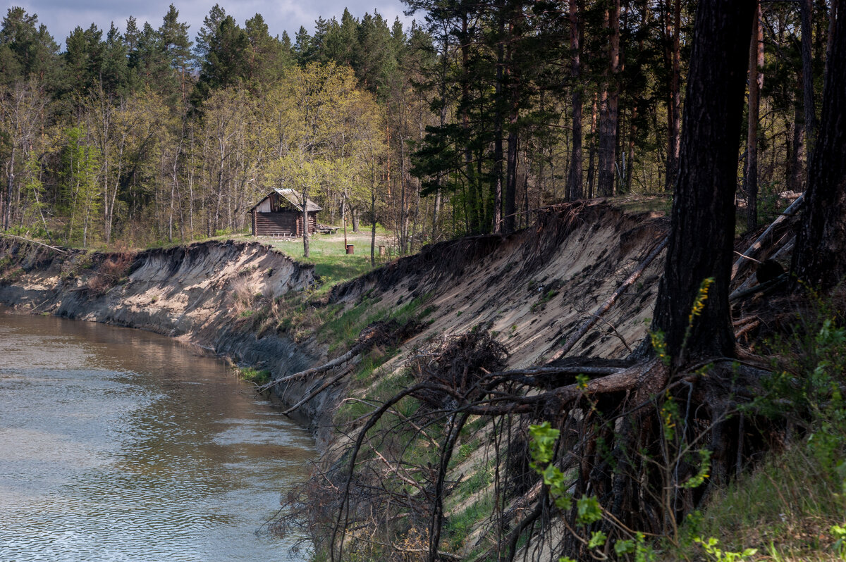 ... - Владимир Новиков