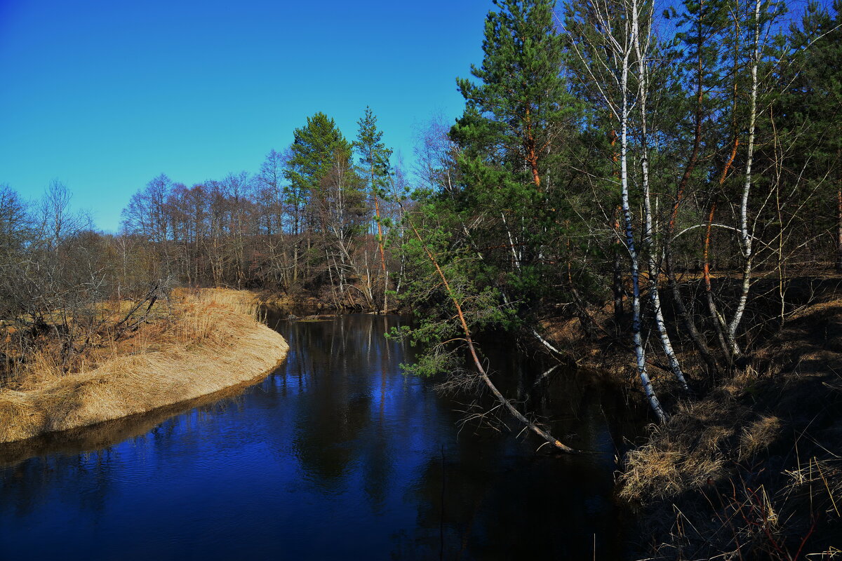 Весна на лесной реке. - Михаил Колосов Весна на лесной реке. - Михаил Колосов