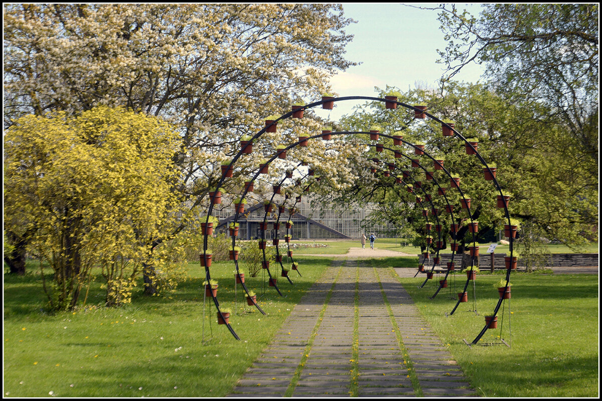 Проход в Весну... - Aleksandr Gal Проход в Весну... - Aleksandr Gal