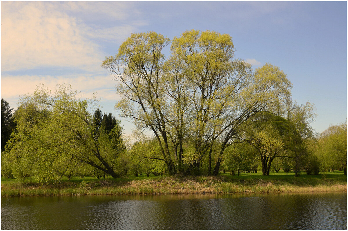 *** - Aleksandr Gal *** - Aleksandr Gal