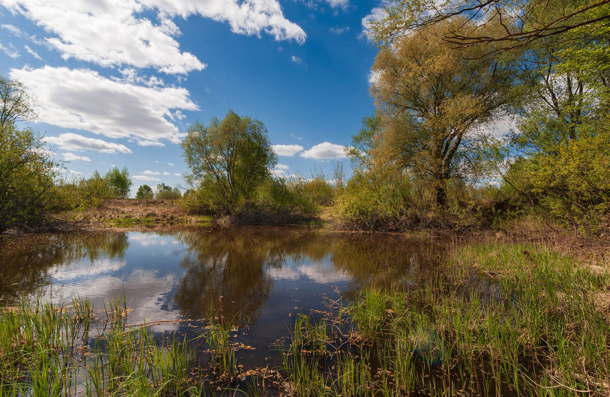 ... - василий 