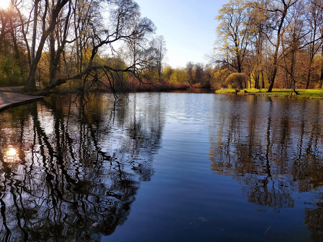 Вечер на Елагином острове - Ирина Румянцева Вечер на Елагином острове - Ирина Румянцева