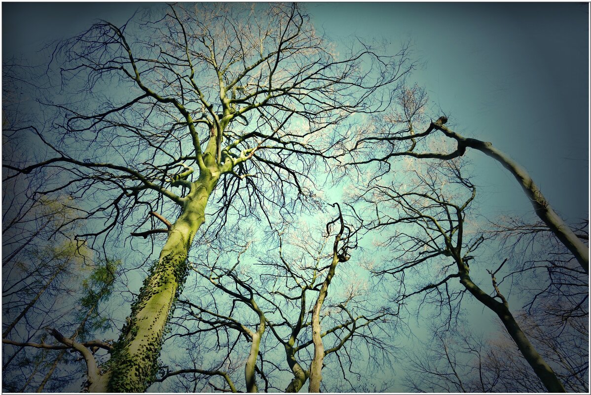 ВСЕ НА ОДНОГО... - Elvira E. ВСЕ НА ОДНОГО... - Elvira E.