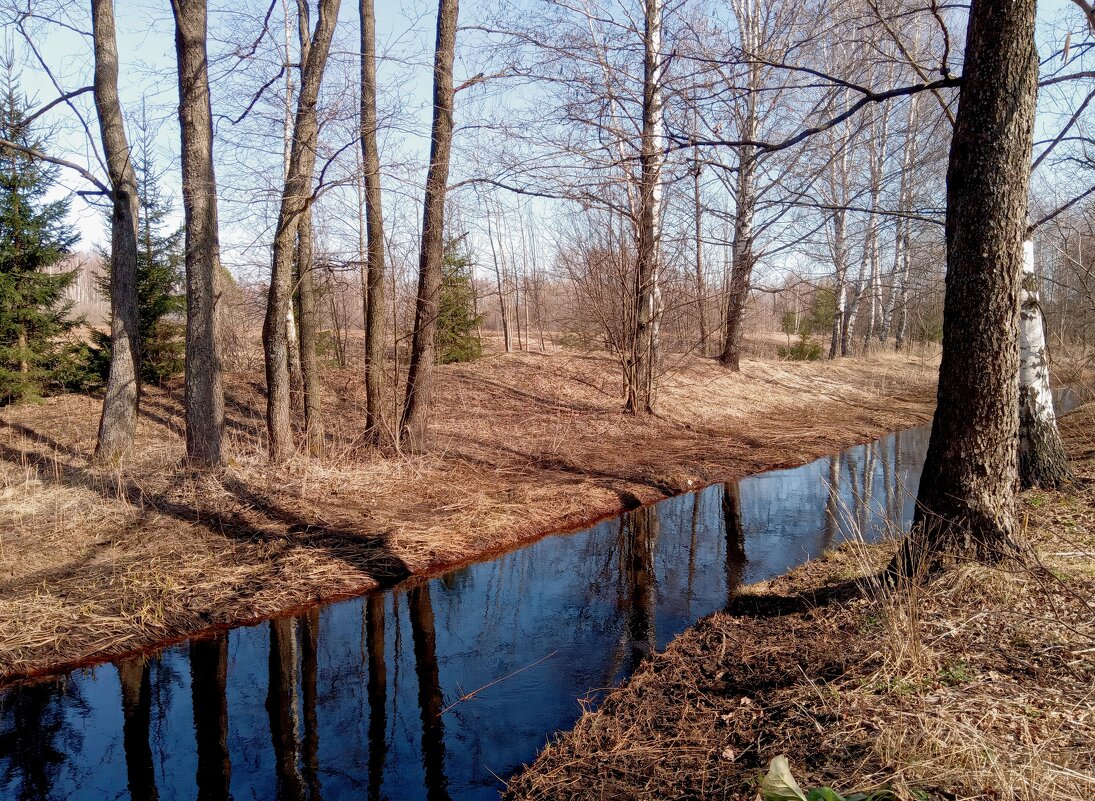 Река Трестьянка у деревни Шишкино - Алексей Р. Река Трестьянка у деревни Шишкино - Алексей Р.