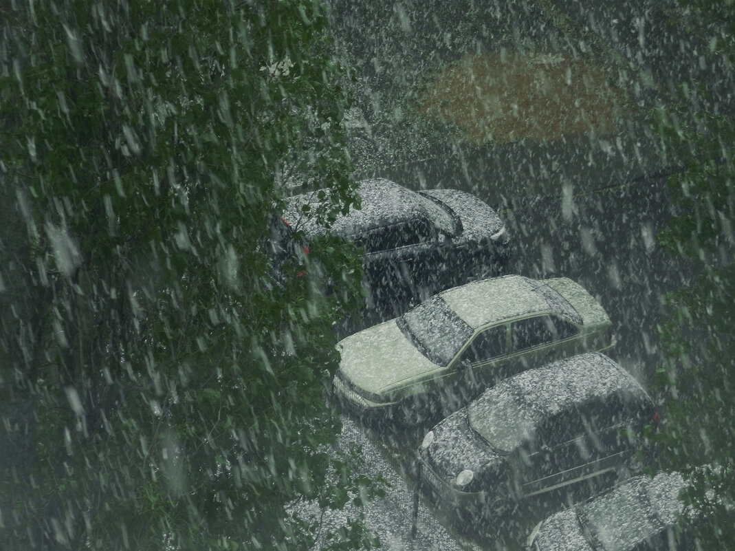 апрельский снегопад - Лера 