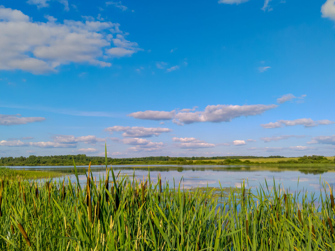... - Анастасия Логинова