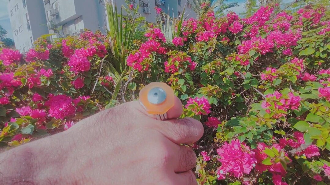 12  КЛОС (1087) - CLOSE WAYS ALL