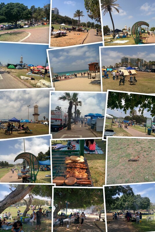 Коллаж по моим фотографиям - Светлана Хращевская