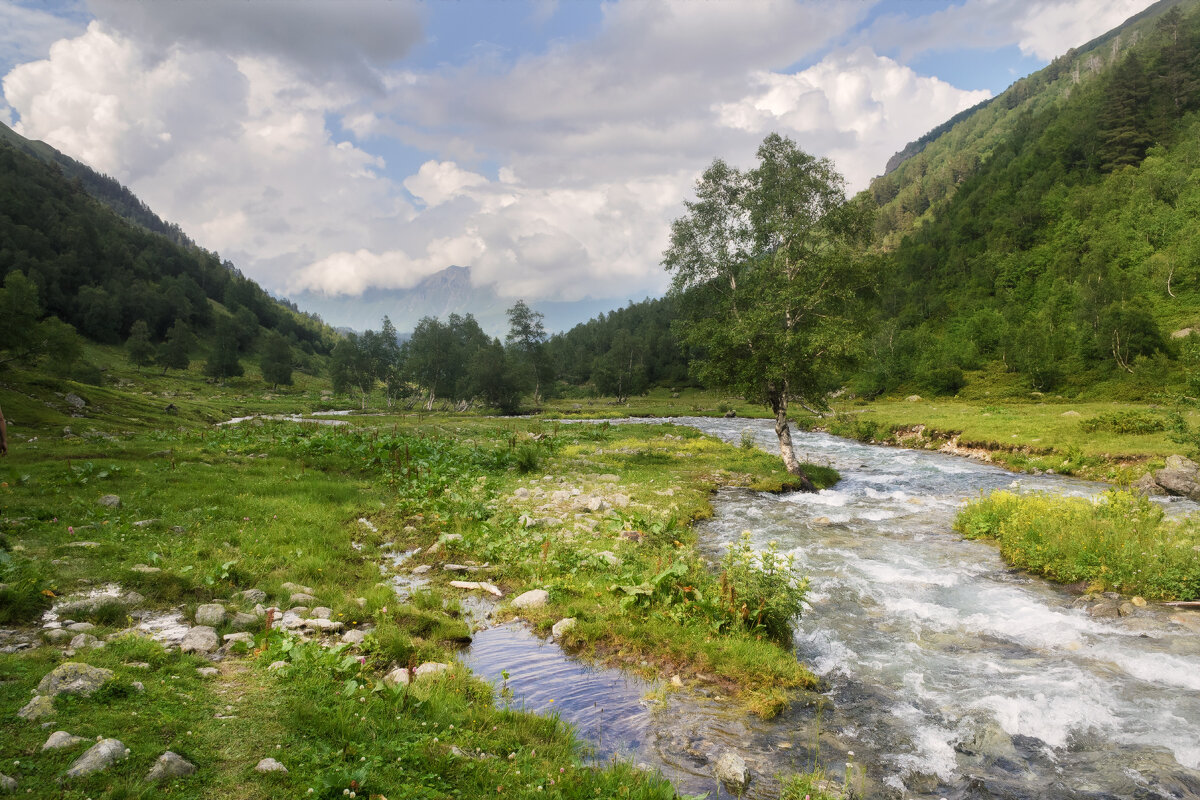 *** - Сергей Лысенко