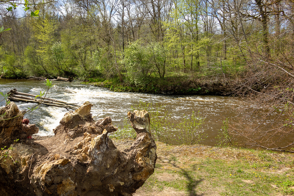 *** - Геннадий Порохов