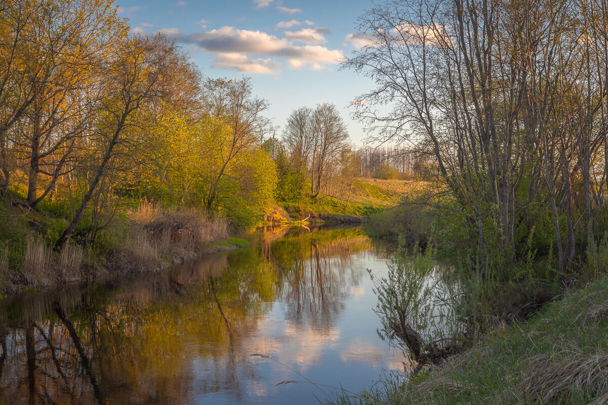 **** - Елизавета .