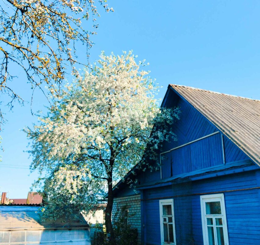 Синий дом. Почти, как на картинах Марка Шагала. - Галина Бобкина
