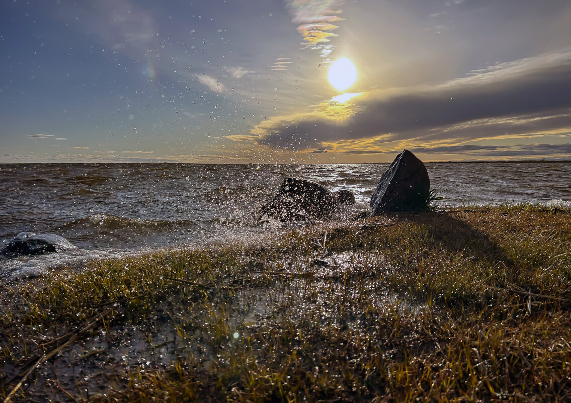 Государственный природный заказник Кургальский - Дмитрий Иванов