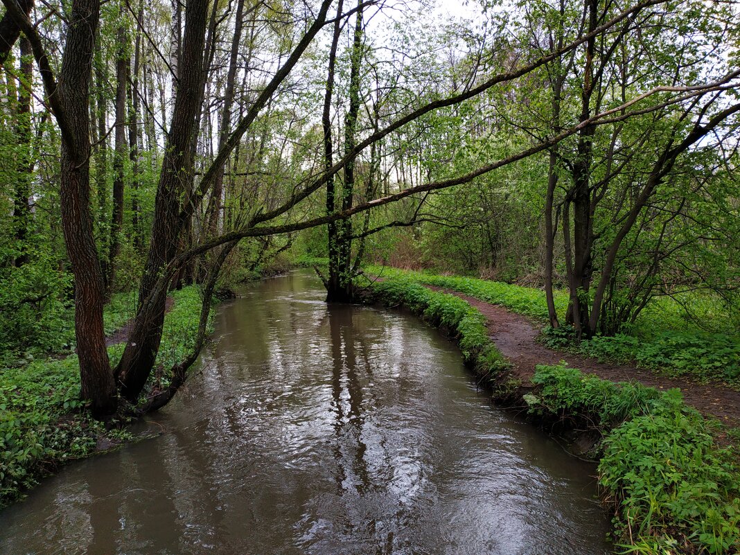 * * * - Андрей Лукьянов