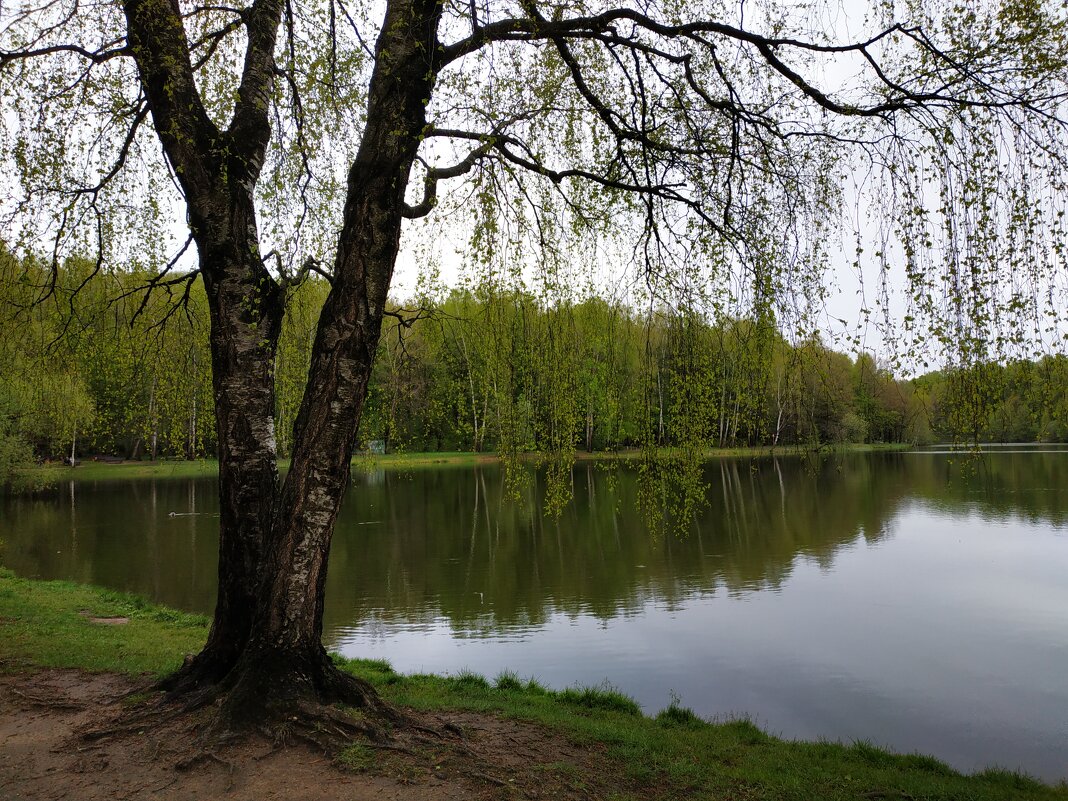 Сладкая парочка - Андрей Лукьянов