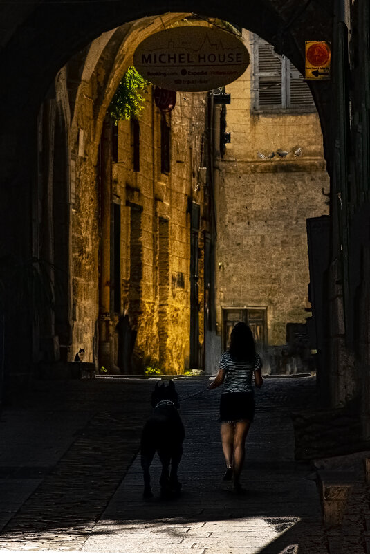 Кане-корсо - Shmual & Vika Retro