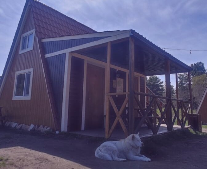 Домик в лесу - Георгиевич 