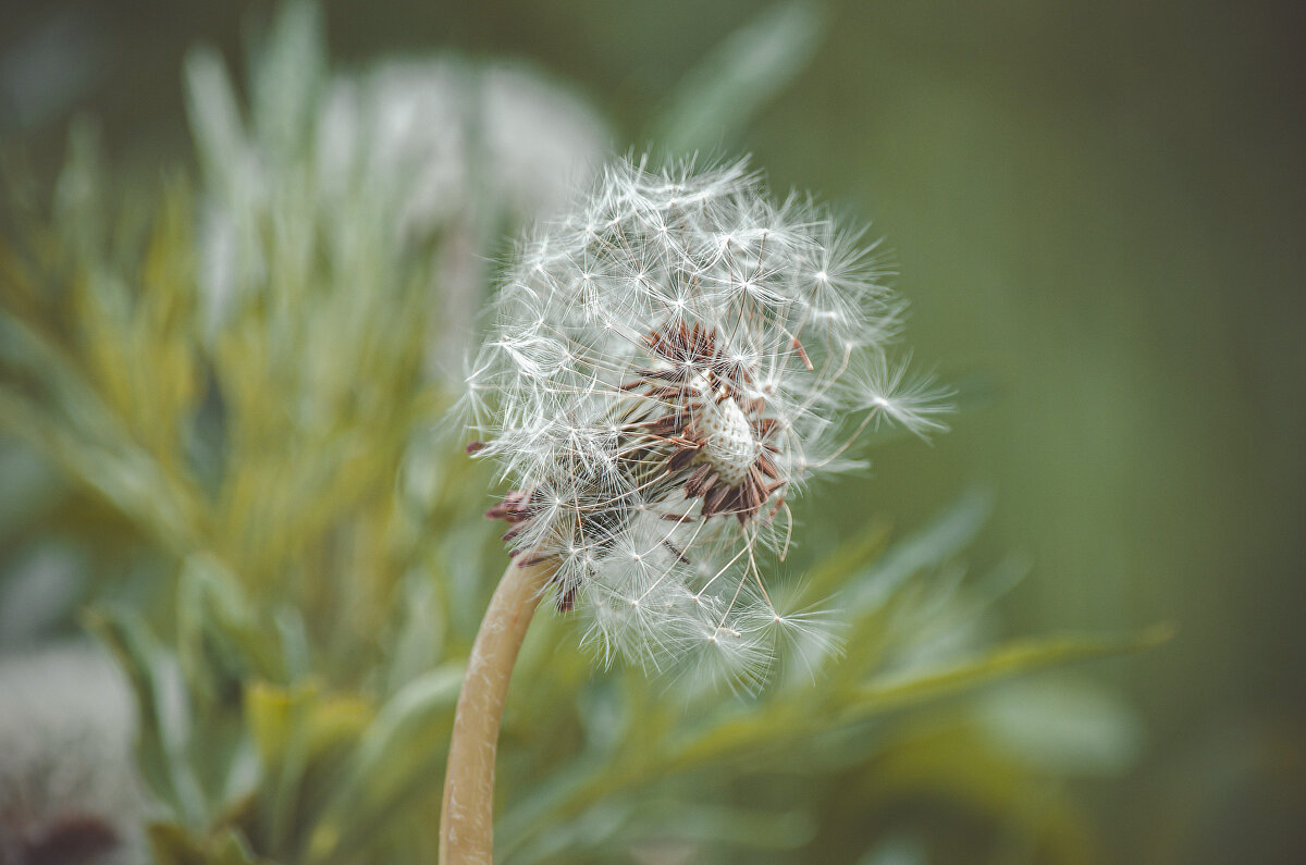 *** - Виктор Иванович Чернюк *** - Виктор Иванович Чернюк