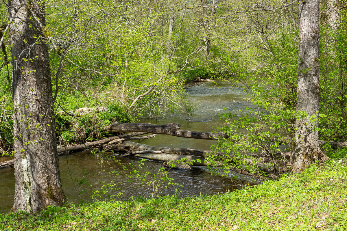 *** - Геннадий Порохов