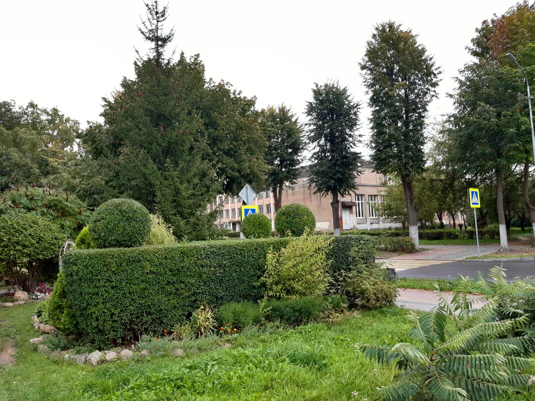 Гусев - Галина Минчук