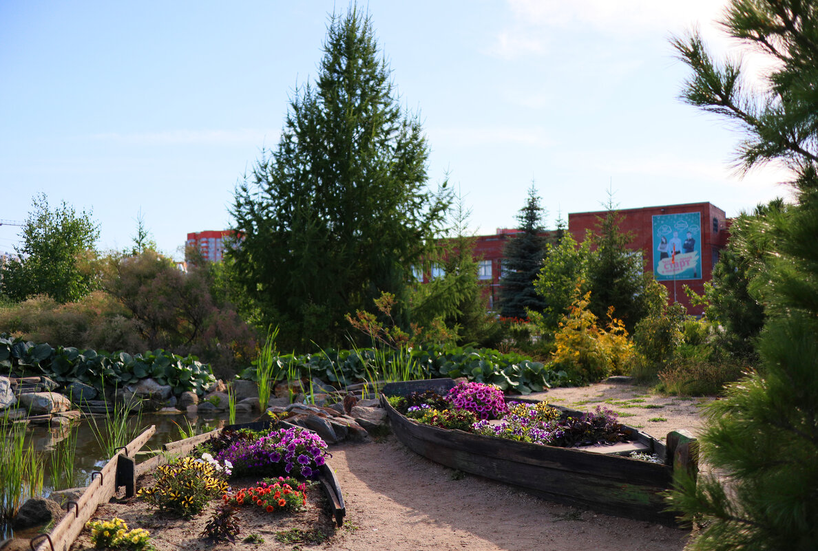 Лодочки - клумбы - Дмитрий Петров Лодочки - клумбы - Дмитрий Петров