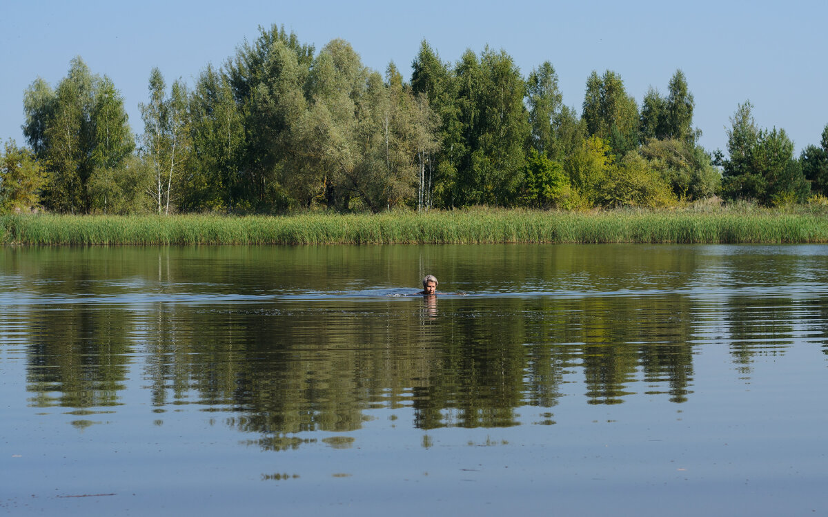 ... - Сергей Лысенко ... - Сергей Лысенко