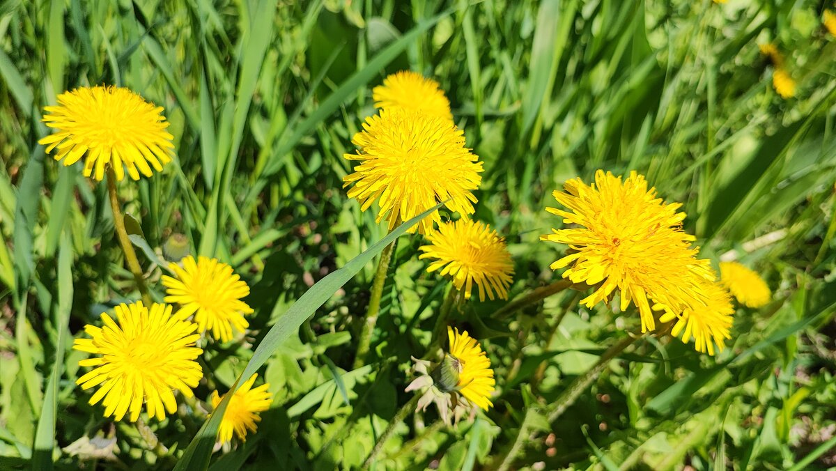 ,,, - Сергей Тимоновский