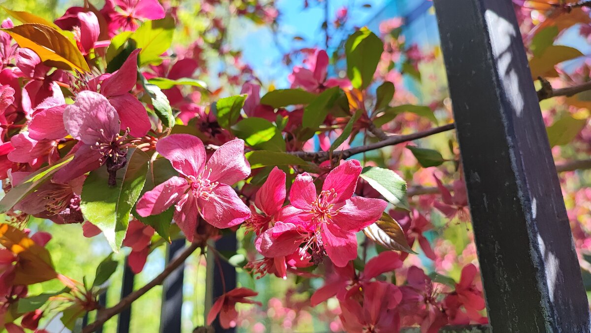 ,,, - Сергей Тимоновский ,,, - Сергей Тимоновский