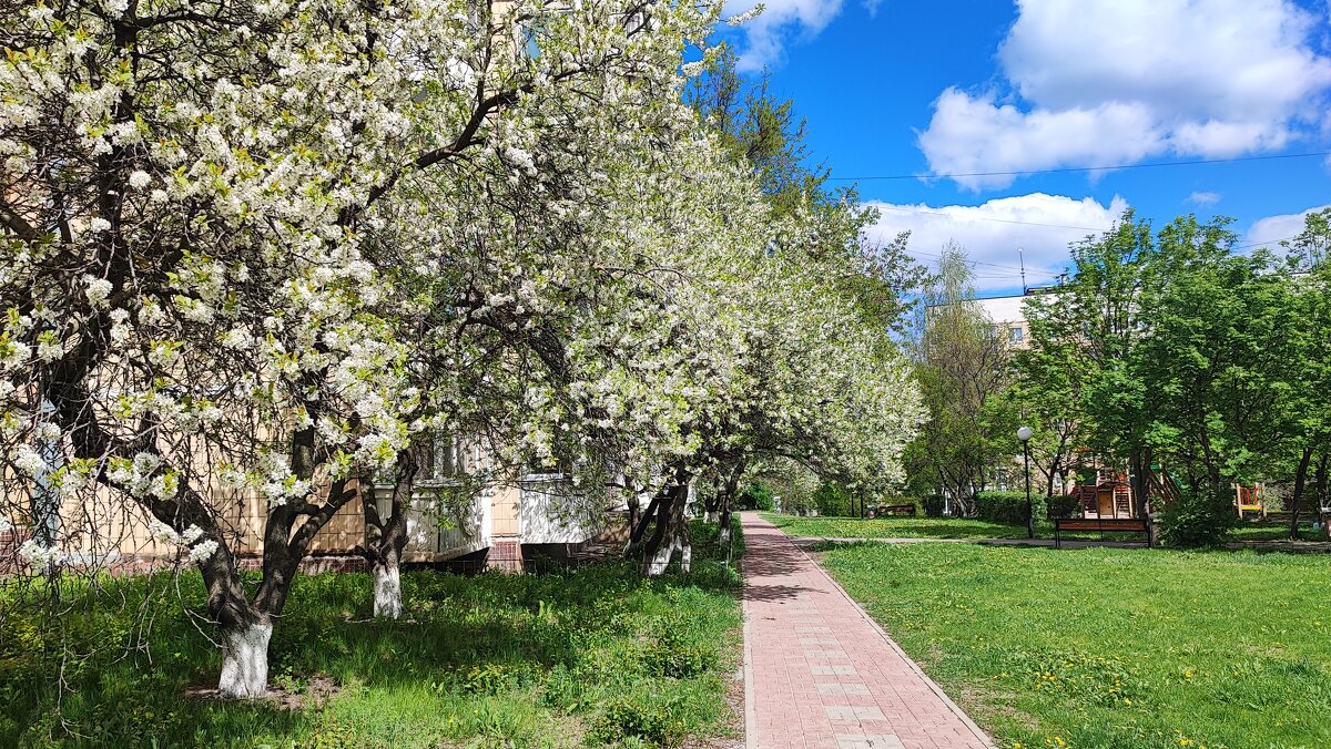 ,,, - Сергей Тимоновский ,,, - Сергей Тимоновский