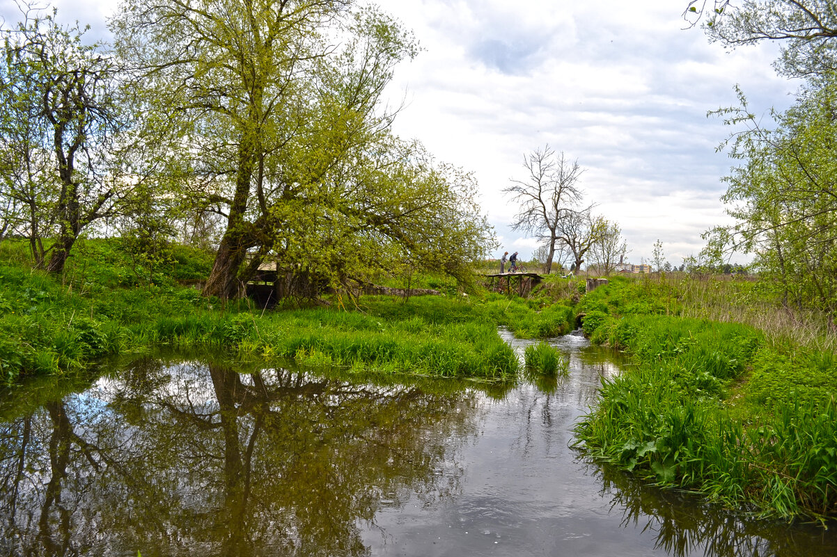 старая плотина - Ольга 