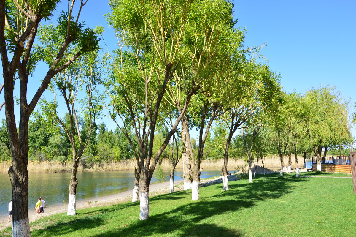 Весна. - Виктор 