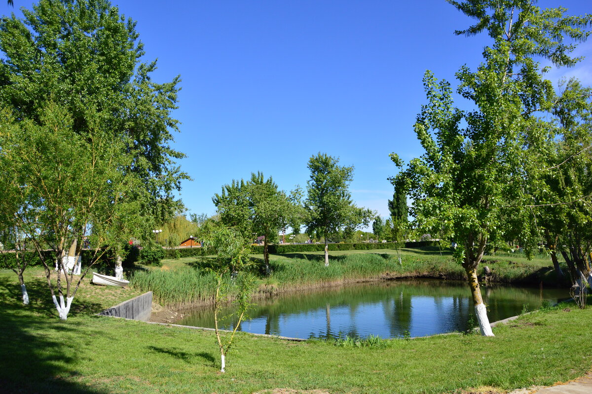 Донские зарисовки. - Виктор Донские зарисовки. - Виктор