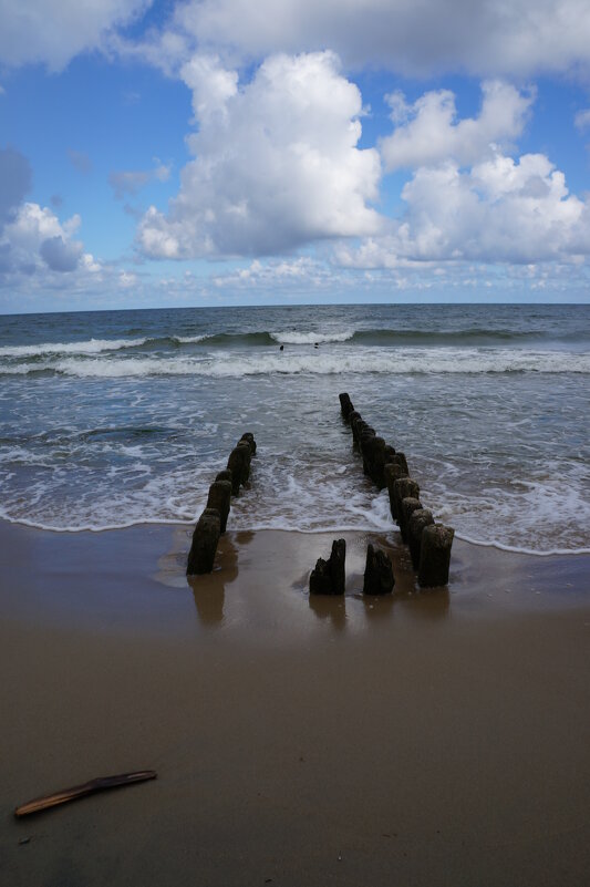 ~~~~/ \\~~~~ - Алёна Савина