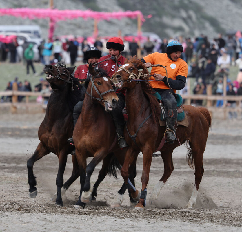 Кок-бору... - владимир 