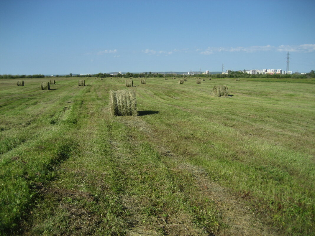 Лето - Anna Ivanova