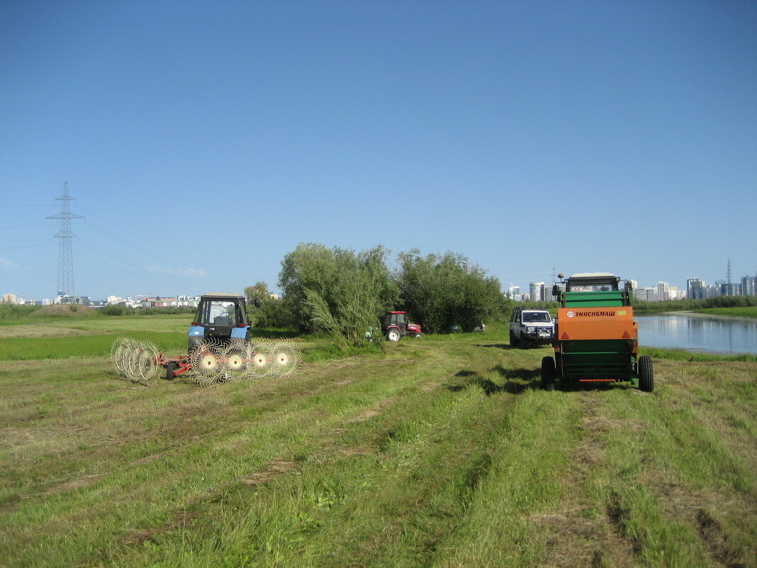 Сенокосная страда - Anna Ivanova