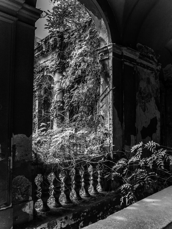 Торжество природы - Наталья Rosenwasser