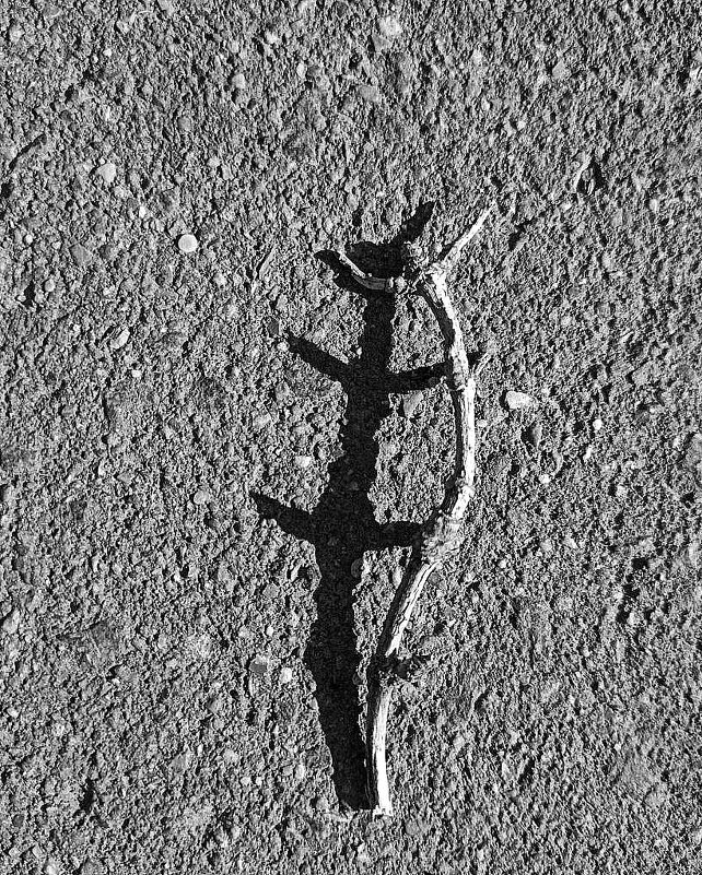 *** - someone somewere