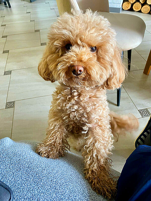 Милашка - Алевтина 