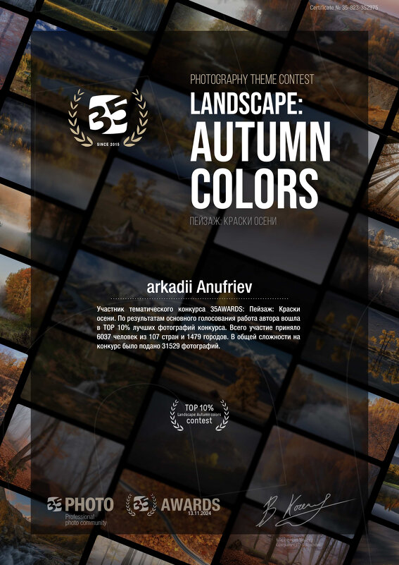 Итоги 2024 - arkadii 