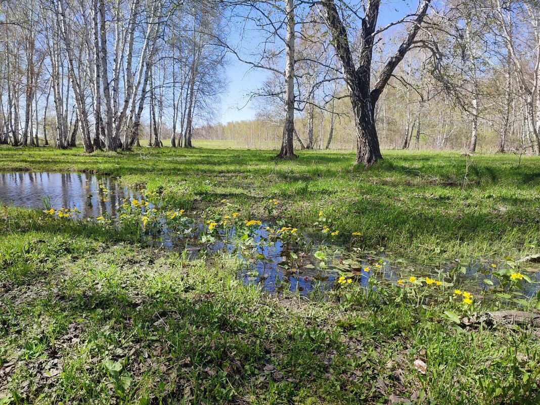В мае - Валентина Богатко 