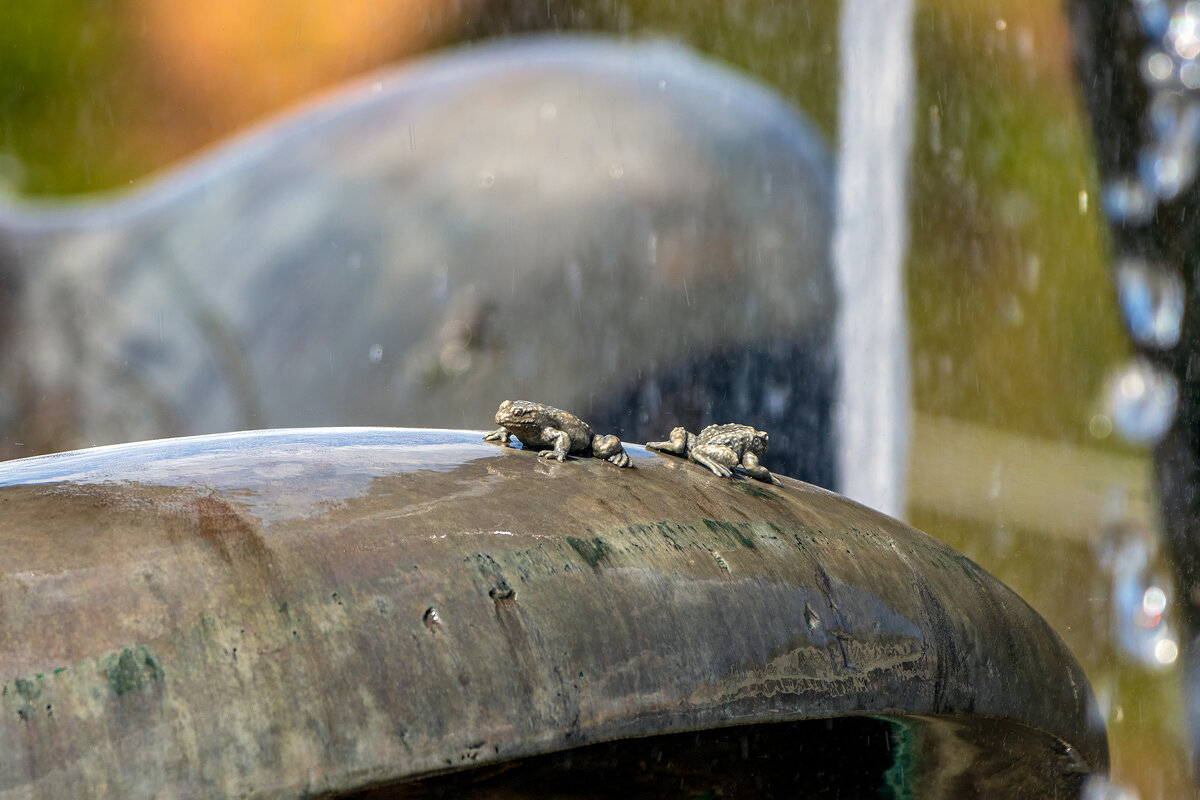 Лягушата. - Анатолий. Chesnavik. Лягушата. - Анатолий. Chesnavik.